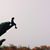 Devanshi Patel's profile image