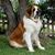 Sheila Jon Cowger's profile image