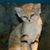 Joci Robertson's profile image