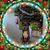 Nicky West Campbell's profile image