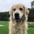 Lynn Campana Torrey's profile image