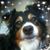Bonny Ogent's profile image