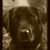 Tori Wold Somers's profile image