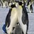 Annemarie Burdett's profile image