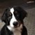 Suzanne Truax's profile image