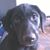 Joel Weisel's profile image