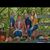Donna Raines's profile image