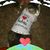 Debbie Hohmann Ridgway's profile image