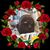 Abdulaziz Mohammed's profile image