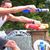 Max Thomas Reilly's profile image
