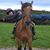 Marcia Pockat's profile image