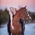 Heather Jean's profile image