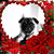 Jana Davis's profile image