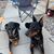 Marty Gisseman's profile image