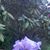 Janet Rendon's profile image