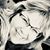 Sheri Reid Fleming's profile image