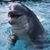 Annette Vaughan Banta's profile image