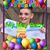 Lori Ann Spallina's profile image