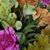 Sylvia Loeblein's profile image