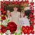 Dawn Leetch's profile image