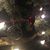 Linda Clasen's profile image