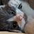 Sandy Tuggle Fitzsimmons's profile image