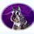 Betty Hays's profile image