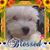 Cathy Furner's profile image