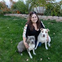 Lena Pettenger's profile image