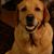 Joann Di Florio-Ramin's profile image