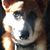 Terri Morris's profile image