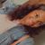 Tiana King's profile image