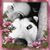 Peg Hardy's profile image