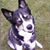 Cassie Meisterheim's profile image