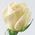 Sherry Stafford's profile image