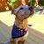 Vonny Manna's profile image