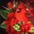 Sharon Williams Hill's profile image