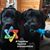Jill Gehrke Vieth's profile image