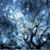 Mary Dempster's profile image