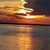 Cathy Foor's profile image