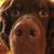 Trond Egil Føsker's profile image