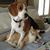 Leigh Windsor Stewart's profile image