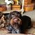 Bonnie Wisser Tobias's profile image