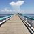 Julie Desch Kaneshiro's profile image