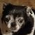Amy Honsbruch's profile image