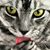 Marilee Smalley's profile image