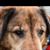 Rachel Murrell Zigas's profile image