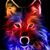 Deb Maurer's profile image