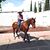 Carlos Alberto Arroyo Mendoza's profile image