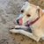 Holly Gunn's profile image